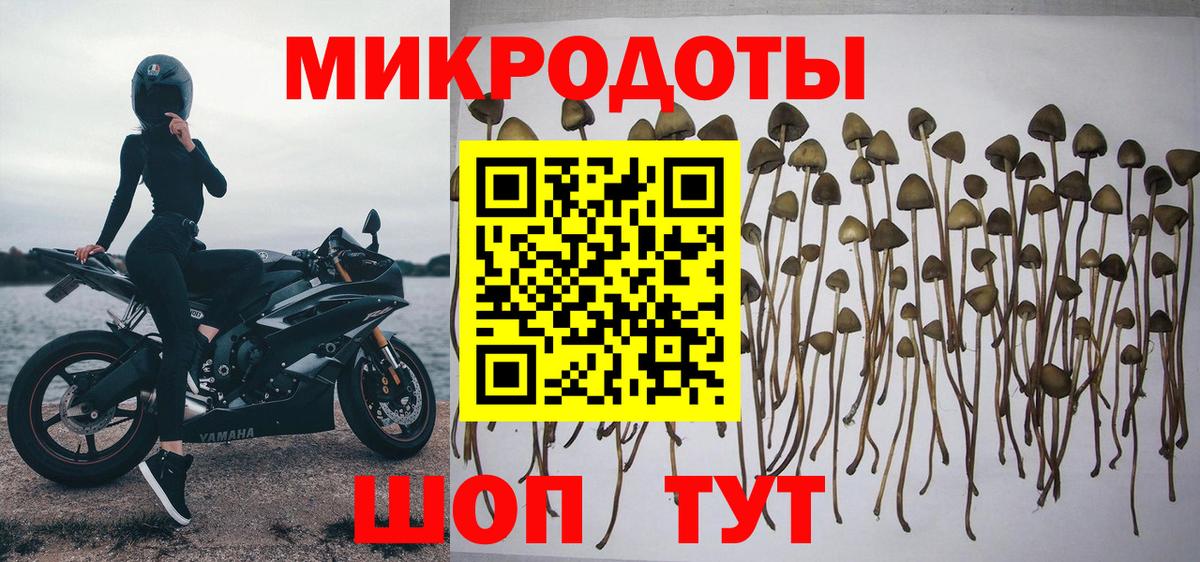 Псилоцибиновые грибы Cubensis  Вход с VPN  Псилоцибиновые грибы Psilocybe  где купить наркоту  Улан-Удэ 