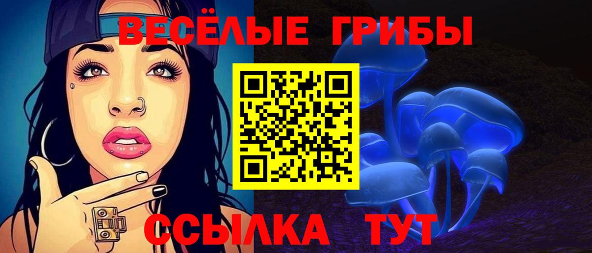 Псилоцибиновые грибы Psilocybe Улан-Удэ